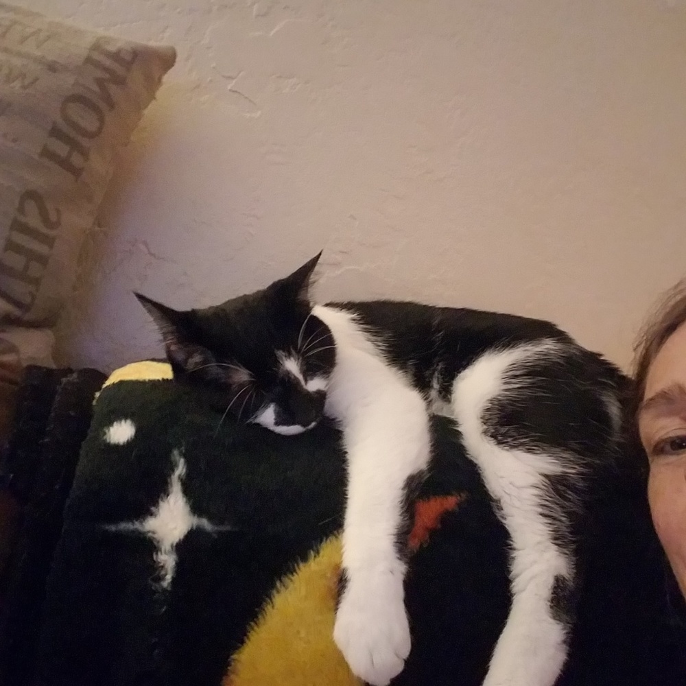 Meet your Posher, Tricia